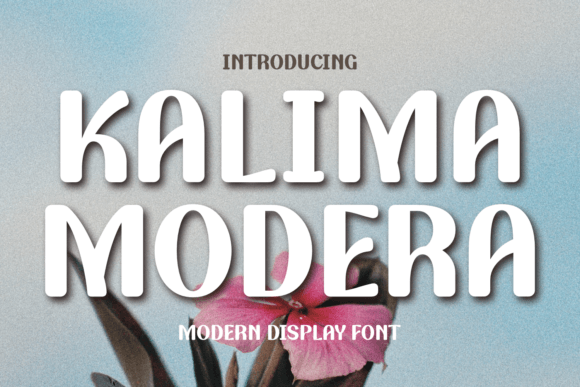 Kalima Modera: A Modern Display Font for Bold Projects