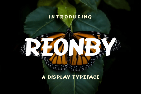 Using the Reonby Display Font in Campaign Design